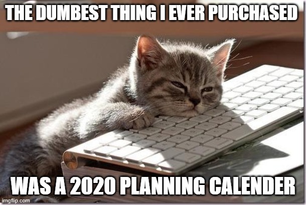 Bored Keyboard Cat | THE DUMBEST THING I EVER PURCHASED; WAS A 2020 PLANNING CALENDER | image tagged in bored keyboard cat | made w/ Imgflip meme maker