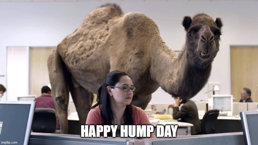HUMPDAY | HAPPY HUMP DAY | image tagged in humpday | made w/ Imgflip meme maker