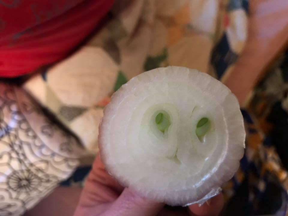 Eye-Rolling Onion Owl Blank Meme Template