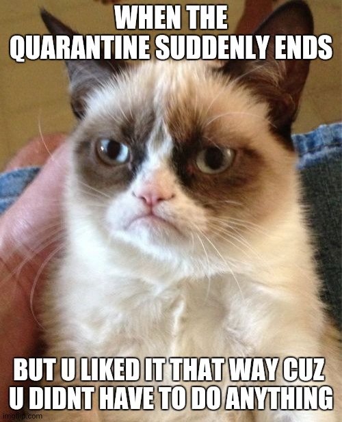 Grumpy Cat | WHEN THE QUARANTINE SUDDENLY ENDS; BUT U LIKED IT THAT WAY CUZ 
U DIDNT HAVE TO DO ANYTHING | image tagged in memes,grumpy cat | made w/ Imgflip meme maker