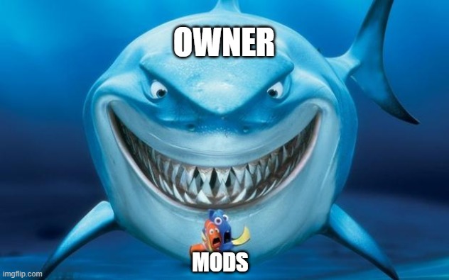 Hungry shark nemoÂ´s | OWNER; MODS | image tagged in hungry shark nemos | made w/ Imgflip meme maker