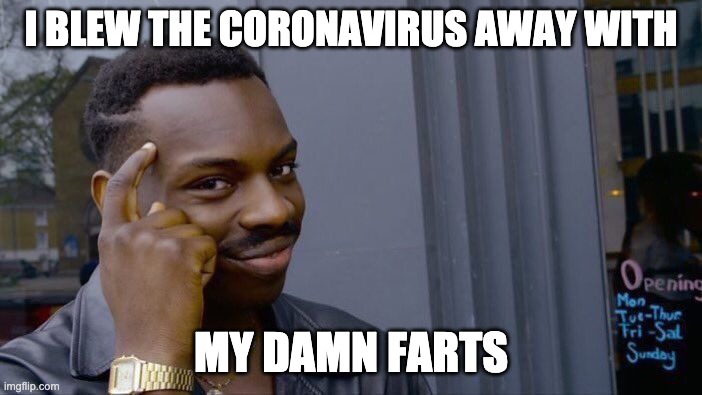 Roll Safe Think About It Meme | I BLEW THE CORONAVIRUS AWAY WITH; MY DAMN FARTS | image tagged in memes,roll safe think about it | made w/ Imgflip meme maker