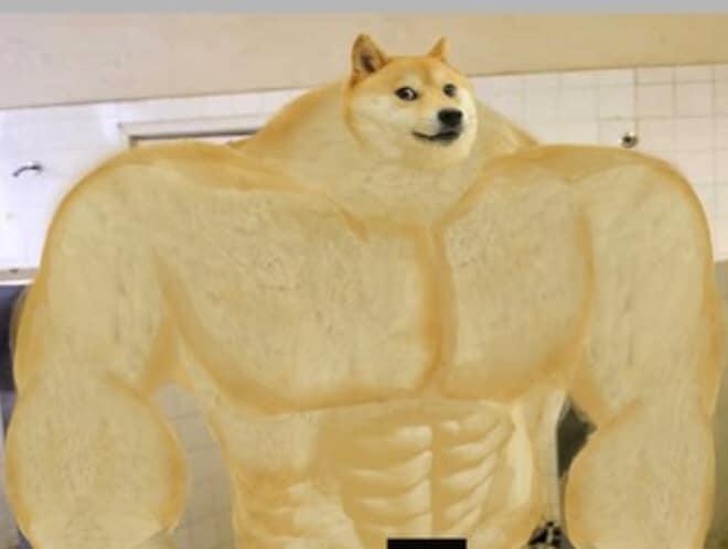 High Quality Buff Doge Blank Meme Template