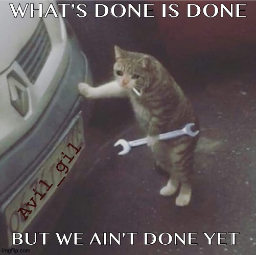 Ain't done yet | WHAT'S DONE IS DONE; Avil_gil; BUT WE AIN'T DONE YET | image tagged in cats | made w/ Imgflip meme maker