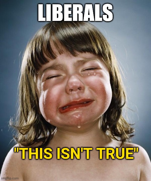 Liberals cry over the truth | LIBERALS "THIS ISN'T TRUE" | image tagged in crybaby,liberals,snowflakes,truth | made w/ Imgflip meme maker