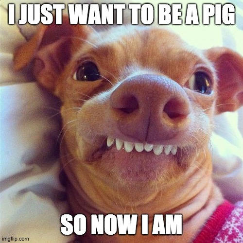 PHTEVEN | I JUST WANT TO BE A PIG; SO NOW I AM | image tagged in phteven | made w/ Imgflip meme maker