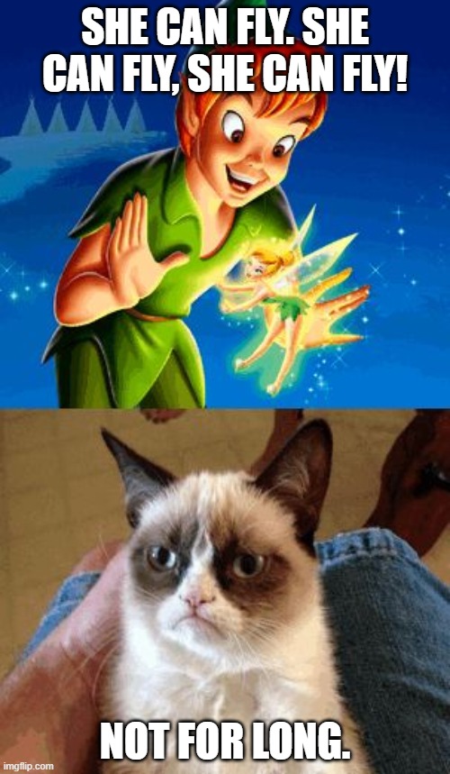 Grumpy Cat Does Not Believe Meme | SHE CAN FLY. SHE CAN FLY, SHE CAN FLY! NOT FOR LONG. | image tagged in memes,grumpy cat does not believe,grumpy cat | made w/ Imgflip meme maker
