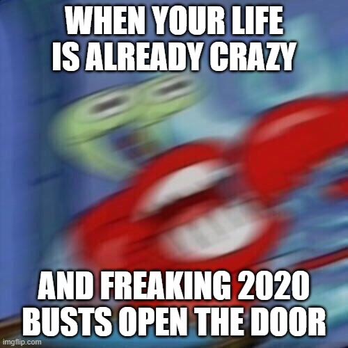 My LiFe | WHEN YOUR LIFE IS ALREADY CRAZY; AND FREAKING 2020 BUSTS OPEN THE DOOR | image tagged in mr krabs blur | made w/ Imgflip meme maker
