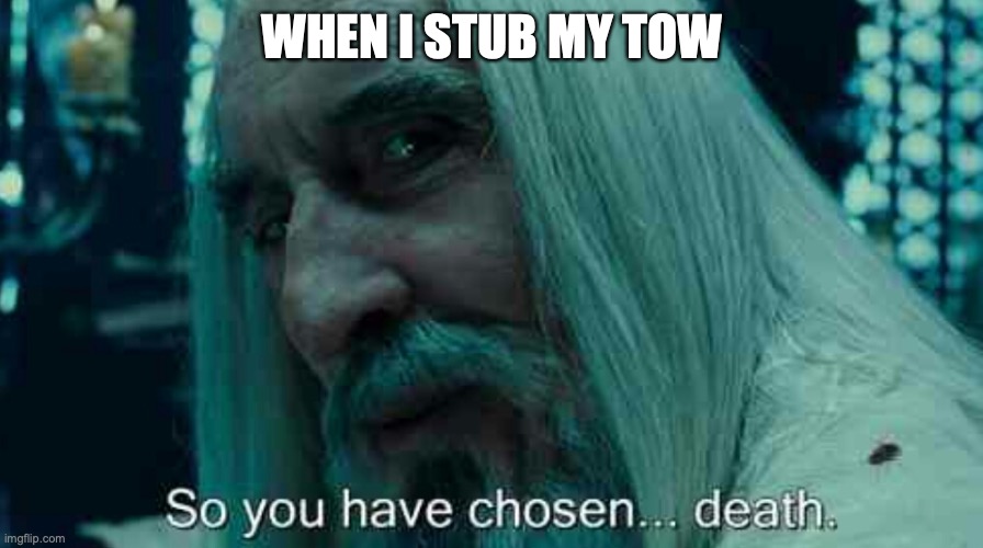 So you have chosen death | WHEN I STUB MY TOW | image tagged in so you have chosen death | made w/ Imgflip meme maker