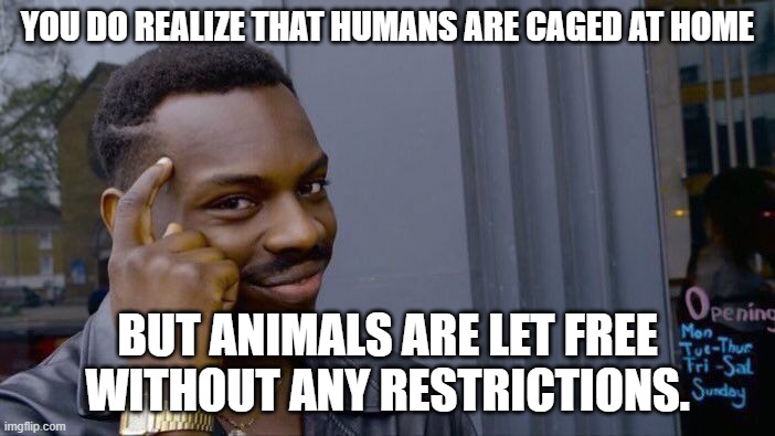 Roll Safe Think About It Meme | YOU DO REALIZE THAT HUMANS ARE CAGED AT HOME; BUT ANIMALS ARE LET FREE WITHOUT ANY RESTRICTIONS. | image tagged in memes,roll safe think about it | made w/ Imgflip meme maker