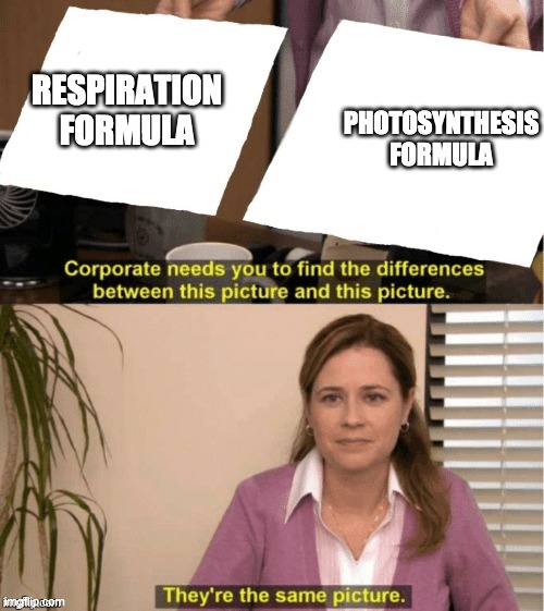 They’re the same thing | RESPIRATION FORMULA; PHOTOSYNTHESIS FORMULA | image tagged in theyre the same thing | made w/ Imgflip meme maker