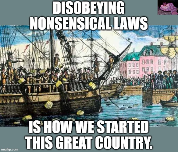 There is a difference between social-distancing and tyrannical rules | DISOBEYING NONSENSICAL LAWS; IS HOW WE STARTED THIS GREAT COUNTRY. | image tagged in boston tea party | made w/ Imgflip meme maker