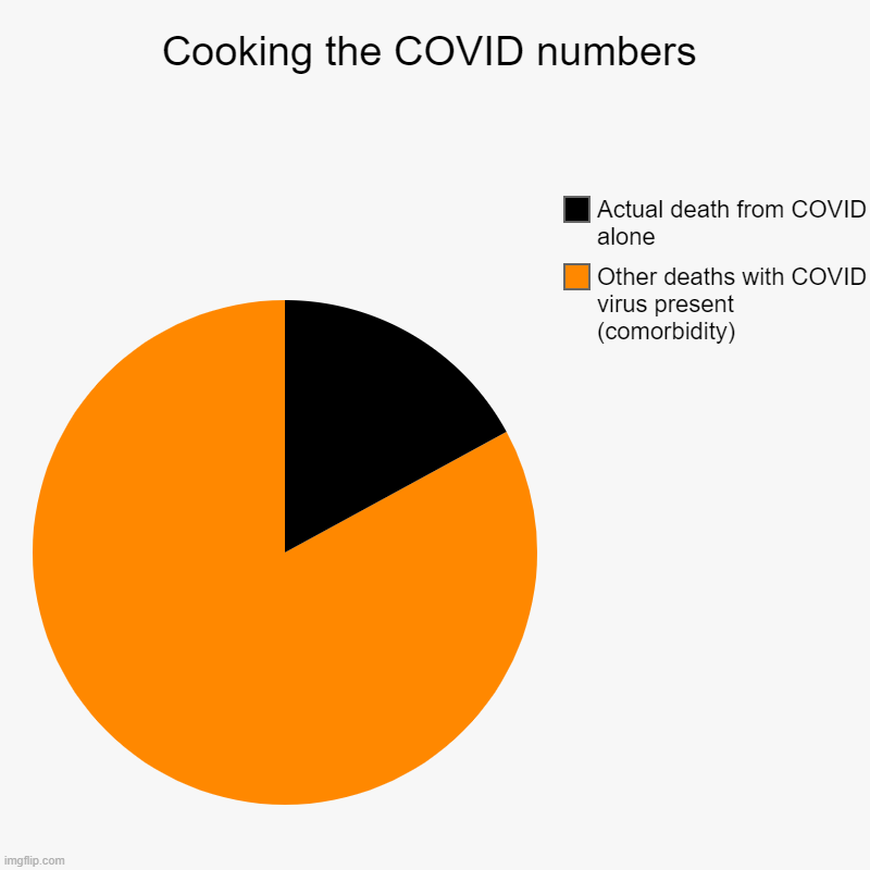 Cooking the COVID numbers | Other deaths with COVID virus present (comorbidity), Actual death from COVID alone | image tagged in charts,pie charts | made w/ Imgflip chart maker