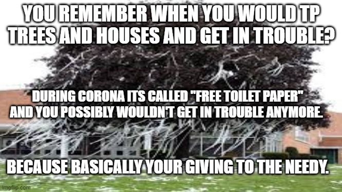 Free Toilet Paper!!!! | YOU REMEMBER WHEN YOU WOULD TP TREES AND HOUSES AND GET IN TROUBLE? DURING CORONA ITS CALLED "FREE TOILET PAPER" AND YOU POSSIBLY WOULDN'T GET IN TROUBLE ANYMORE. BECAUSE BASICALLY YOUR GIVING TO THE NEEDY. | image tagged in tp,large brain,teenagers,needy | made w/ Imgflip meme maker