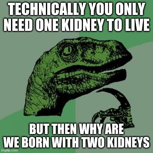 Philosoraptor | TECHNICALLY YOU ONLY NEED ONE KIDNEY TO LIVE; BUT THEN WHY ARE WE BORN WITH TWO KIDNEYS | image tagged in memes,philosoraptor | made w/ Imgflip meme maker