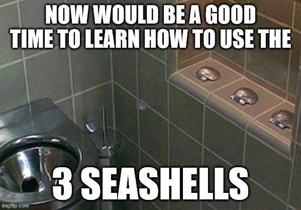 NOW WOULD BE A GOOD TIME TO LEARN HOW TO USE THE; 3 SEASHELLS | image tagged in demolitionman,toilet,seashells | made w/ Imgflip meme maker
