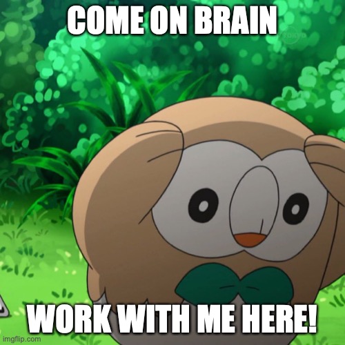 Owl Brain | COME ON BRAIN; WORK WITH ME HERE! | image tagged in owl brain | made w/ Imgflip meme maker