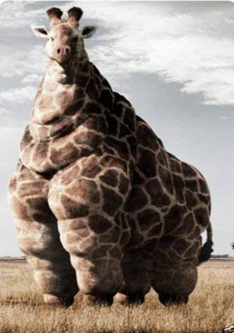High Quality Fat Giraffe Blank Meme Template