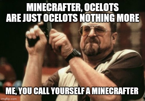 Am I The Only One Around Here Meme | MINECRAFTER, OCELOTS ARE JUST OCELOTS NOTHING MORE; ME, YOU CALL YOURSELF A MINECRAFTER | image tagged in memes,am i the only one around here | made w/ Imgflip meme maker