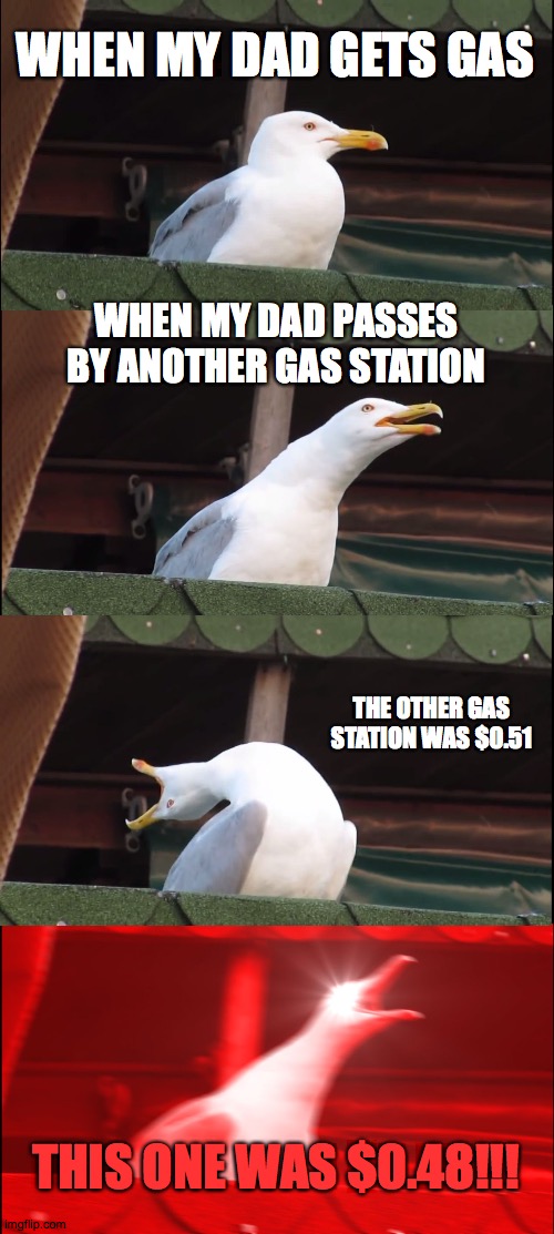 Gas Seagul | WHEN MY DAD GETS GAS; WHEN MY DAD PASSES BY ANOTHER GAS STATION; THE OTHER GAS STATION WAS $0.51; THIS ONE WAS $0.48!!! | image tagged in gas,weird bird | made w/ Imgflip meme maker
