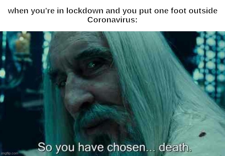So you have chosen death | when you're in lockdown and you put one foot outside
Coronavirus: | image tagged in so you have chosen death | made w/ Imgflip meme maker
