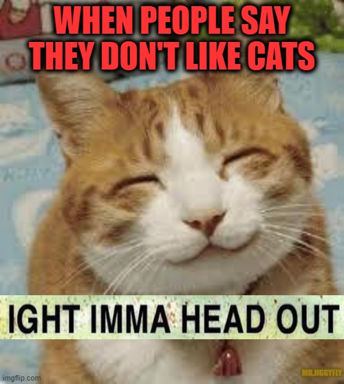Happy cat | WHEN PEOPLE SAY THEY DON'T LIKE CATS; MR.JIGGYFLY | image tagged in happy cat,cats,kitty cat,opinions,cats rule,dogs drool | made w/ Imgflip meme maker