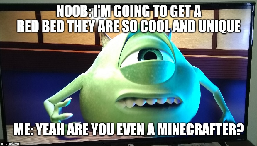 NOOB: I'M GOING TO GET A RED BED THEY ARE SO COOL AND UNIQUE; ME: YEAH ARE YOU EVEN A MINECRAFTER? | image tagged in minecraft | made w/ Imgflip meme maker