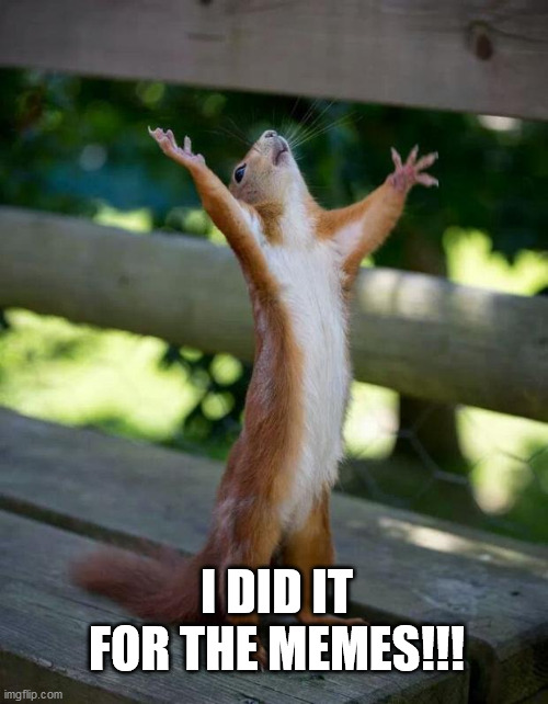 Happy Squirrel | I DID IT FOR THE MEMES!!! | image tagged in happy squirrel | made w/ Imgflip meme maker