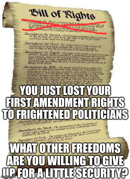 bill of rights | YOU JUST LOST YOUR FIRST AMENDMENT RIGHTS TO FRIGHTENED POLITICIANS; WHAT OTHER FREEDOMS ARE YOU WILLING TO GIVE UP FOR A LITTLE SECURITY? | image tagged in bill of rights | made w/ Imgflip meme maker