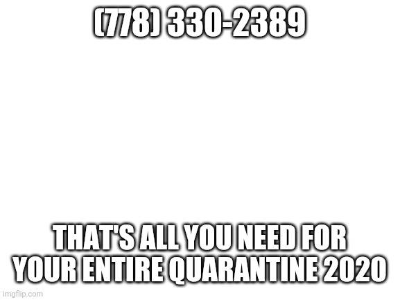Blank White Template | (778) 330-2389; THAT'S ALL YOU NEED FOR YOUR ENTIRE QUARANTINE 2020 | image tagged in blank white template | made w/ Imgflip meme maker