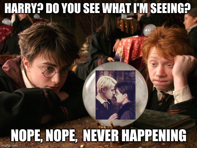 Pottah+Draco | HARRY? DO YOU SEE WHAT I'M SEEING? NOPE, NOPE,  NEVER HAPPENING | image tagged in my ship,drotter,don't judge | made w/ Imgflip meme maker
