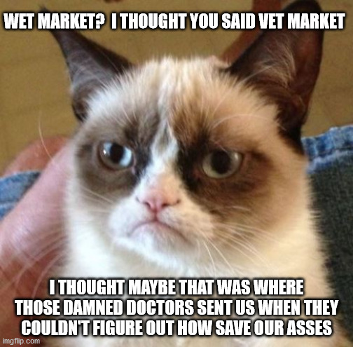 But I Still Have a Couple of Lives Left | WET MARKET?  I THOUGHT YOU SAID VET MARKET; I THOUGHT MAYBE THAT WAS WHERE THOSE DAMNED DOCTORS SENT US WHEN THEY COULDN'T FIGURE OUT HOW SAVE OUR ASSES | image tagged in cats | made w/ Imgflip meme maker