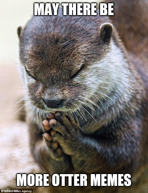 Thank you Lord Otter | MAY THERE BE MORE OTTER MEMES | image tagged in thank you lord otter | made w/ Imgflip meme maker