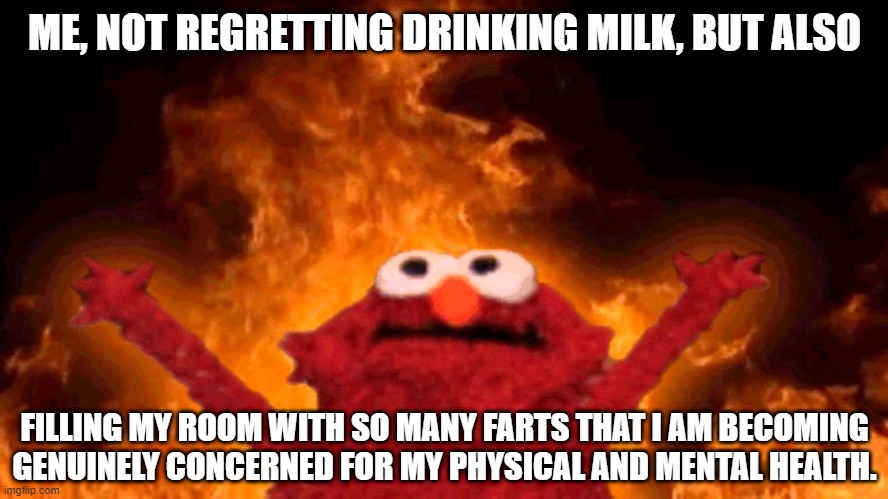 elmo fire | ME, NOT REGRETTING DRINKING MILK, BUT ALSO; FILLING MY ROOM WITH SO MANY FARTS THAT I AM BECOMING GENUINELY CONCERNED FOR MY PHYSICAL AND MENTAL HEALTH. | image tagged in elmo fire | made w/ Imgflip meme maker