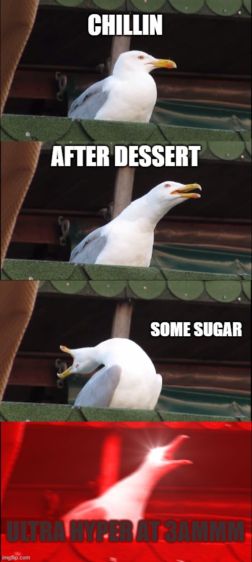 Inhaling Seagull | CHILLIN; AFTER DESSERT; SOME SUGAR; ULTRA HYPER AT 3AMMM | image tagged in memes,inhaling seagull | made w/ Imgflip meme maker