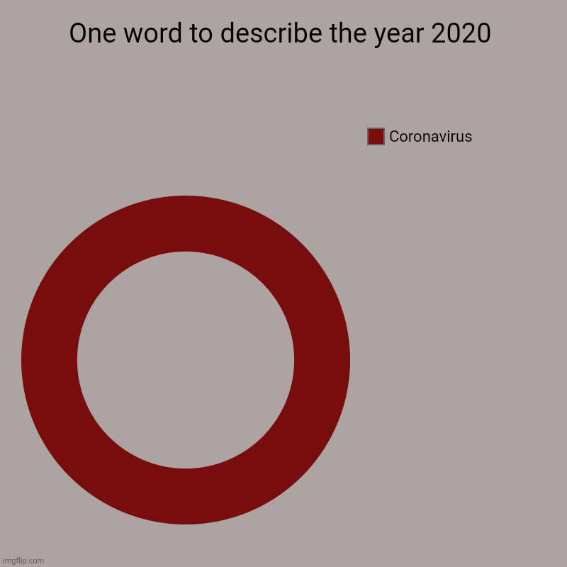 One word to describe the year 2020 | One word to describe the year 2020 | Coronavirus | image tagged in charts,donut charts,2020,chart,funny,coronavirus | made w/ Imgflip chart maker