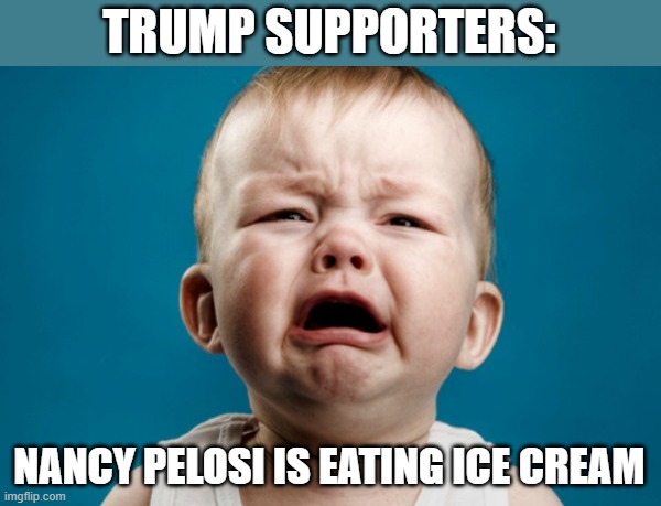 Waaaaahhhhhh! | TRUMP SUPPORTERS:; NANCY PELOSI IS EATING ICE CREAM | image tagged in waaaaahhhhhh | made w/ Imgflip meme maker