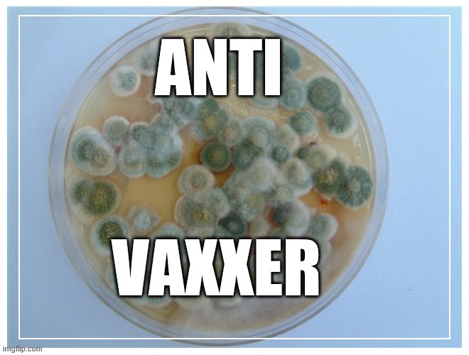petri dish full | ANTI; VAXXER | image tagged in petri dish full | made w/ Imgflip meme maker