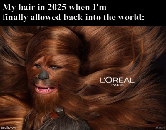 I hope not | My hair in 2025 when I'm finally allowed back into the world: | image tagged in memes | made w/ Imgflip meme maker