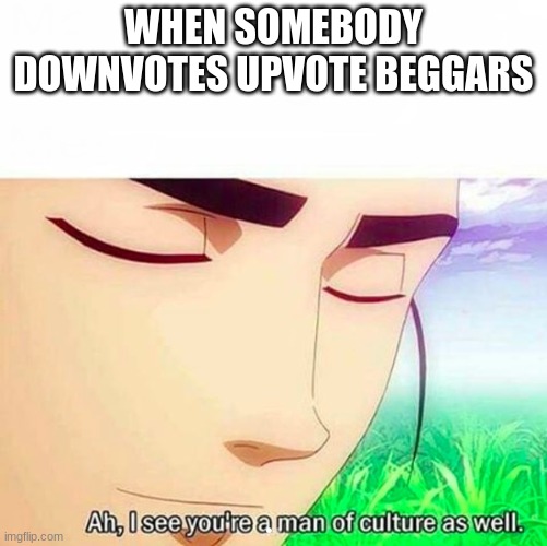 Ah,I see you are a man of culture as well | WHEN SOMEBODY DOWNVOTES UPVOTE BEGGARS | image tagged in ah i see you are a man of culture as well | made w/ Imgflip meme maker