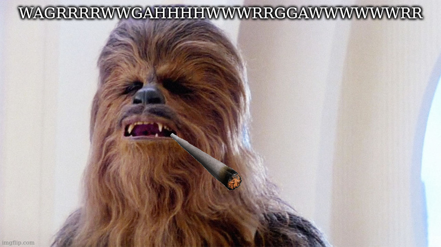 Chewbacca | WAGRRRRWWGAHHHHWWWRRGGAWWWWWWRR | image tagged in chewbacca | made w/ Imgflip meme maker