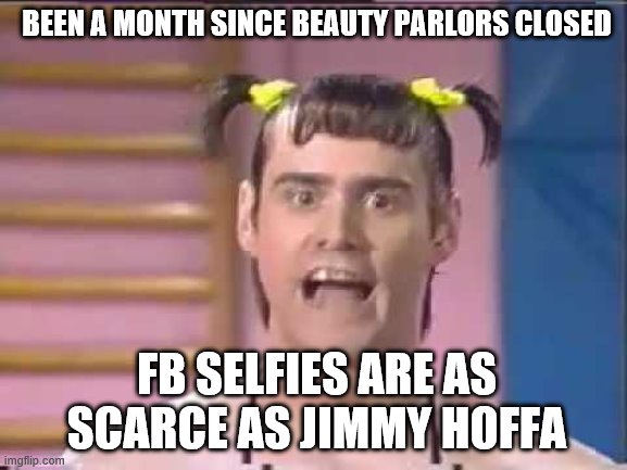 BEEN A MONTH SINCE BEAUTY PARLORS CLOSED; FB SELFIES ARE AS SCARCE AS JIMMY HOFFA | image tagged in quarantine | made w/ Imgflip meme maker