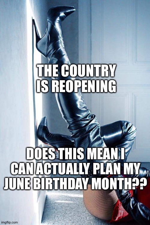 Tease me Tuesday  | THE COUNTRY IS REOPENING; DOES THIS MEAN I CAN ACTUALLY PLAN MY JUNE BIRTHDAY MONTH?? | image tagged in tease me tuesday | made w/ Imgflip meme maker