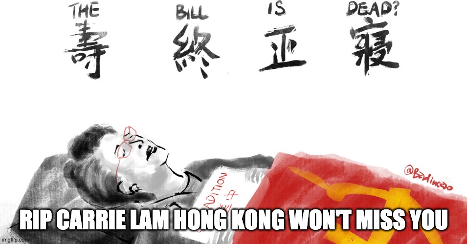 RIP CARRIE LAM HONG KONG WON'T MISS YOU | image tagged in carrielam,hongkong,protestershk | made w/ Imgflip meme maker