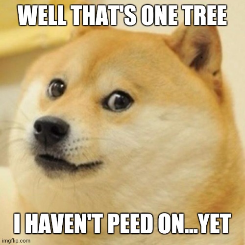 wow doge | WELL THAT'S ONE TREE I HAVEN'T PEED ON...YET | image tagged in wow doge | made w/ Imgflip meme maker