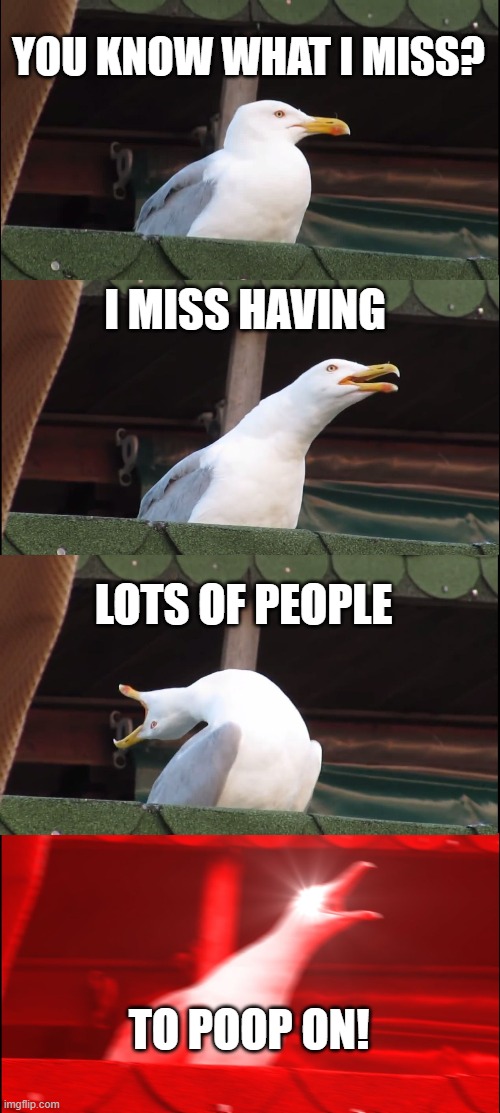 Inhaling Seagull | YOU KNOW WHAT I MISS? I MISS HAVING; LOTS OF PEOPLE; TO POOP ON! | image tagged in memes,inhaling seagull | made w/ Imgflip meme maker