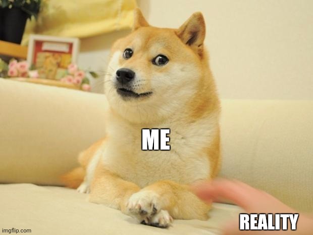 Doge 2 Meme | ME REALITY | image tagged in memes,doge 2 | made w/ Imgflip meme maker