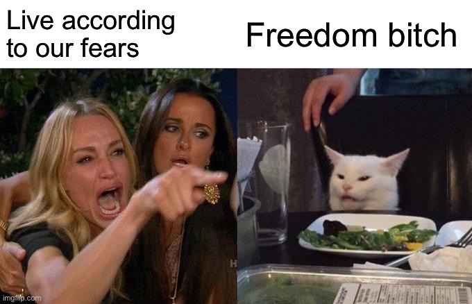 Woman Yelling At Cat Meme | Live according to our fears Freedom bitch | image tagged in memes,woman yelling at cat | made w/ Imgflip meme maker