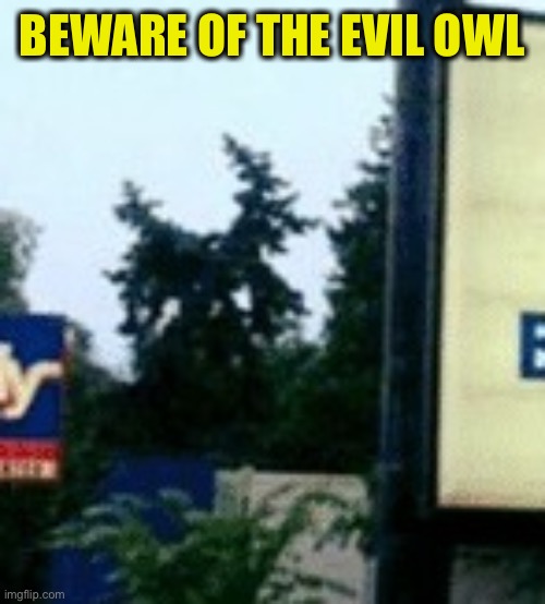 BEWARE OF THE EVIL OWL | made w/ Imgflip meme maker