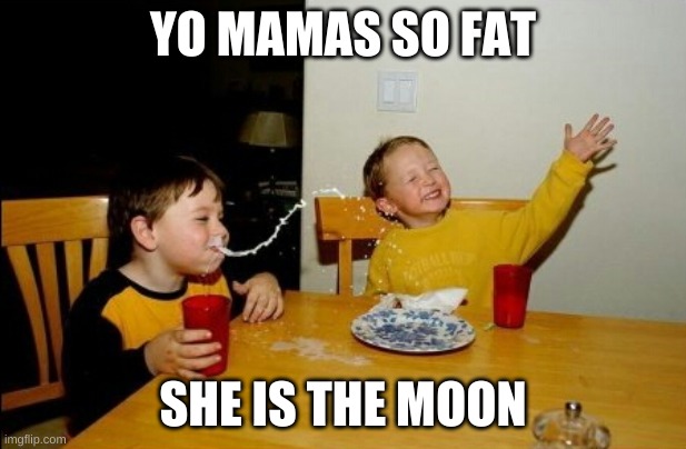 Yo Mamas So Fat Meme | YO MAMAS SO FAT; SHE IS THE MOON | image tagged in memes,yo mamas so fat | made w/ Imgflip meme maker